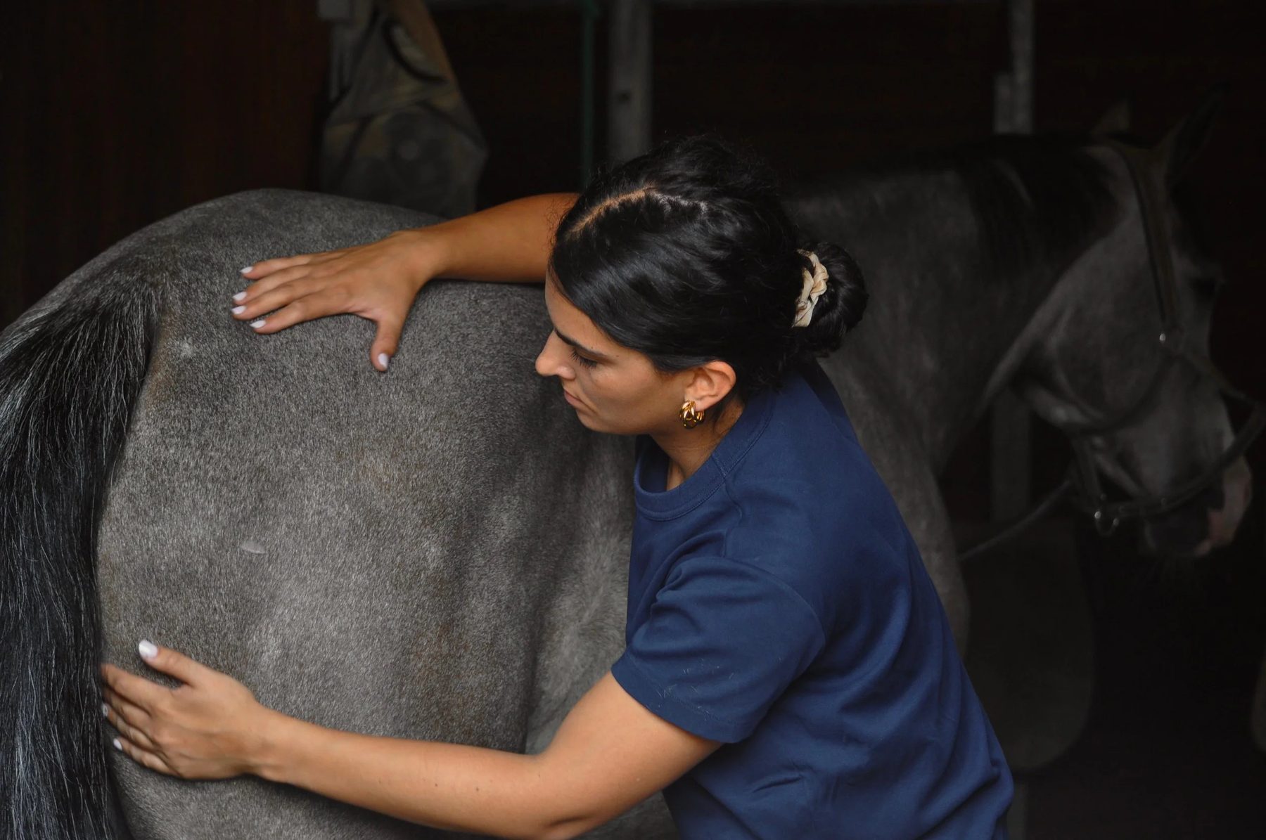 Jeanne François, physiomassothérapeute équin, lors d'un soin sur un cheval gris